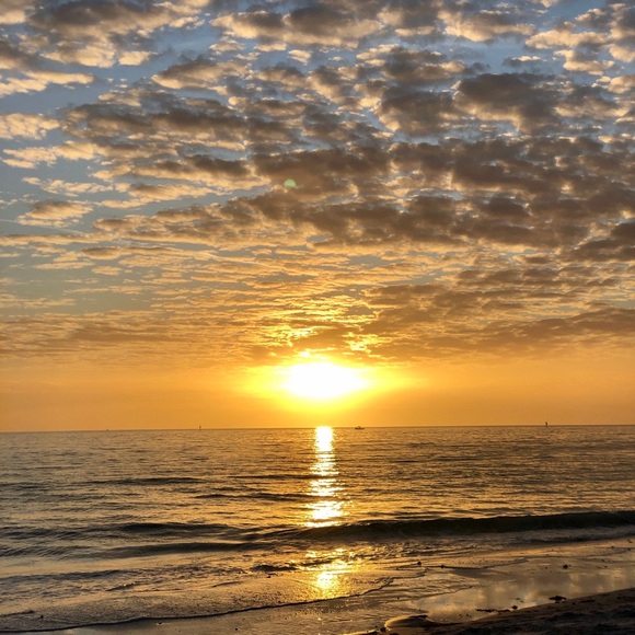 🌺Posh Ambassador🌺Brianna!! - Picture 4 of 5